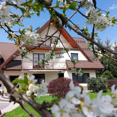 Czarna Jagoda Czarna Góra Exteriér fotografie
