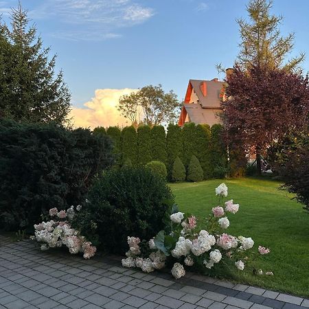 Czarna Jagoda Czarna Góra Exteriér fotografie