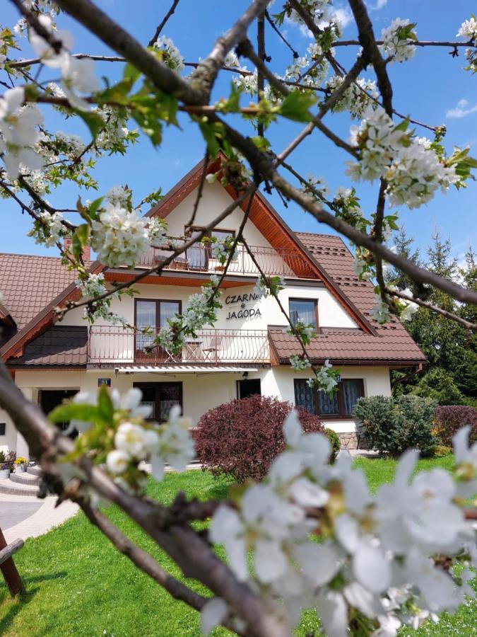 Czarna Jagoda Czarna Góra Exteriér fotografie