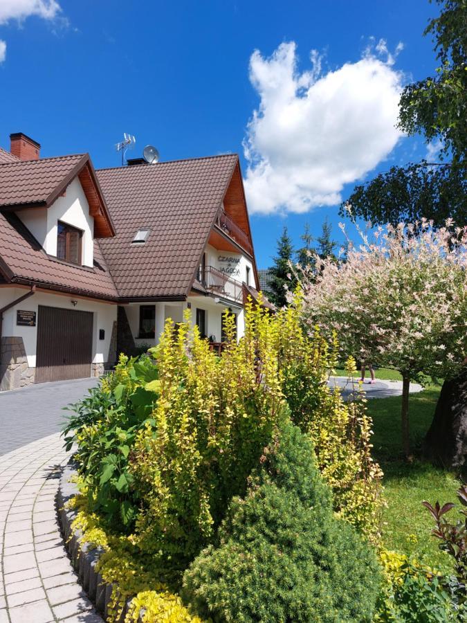 Czarna Jagoda Czarna Góra Exteriér fotografie