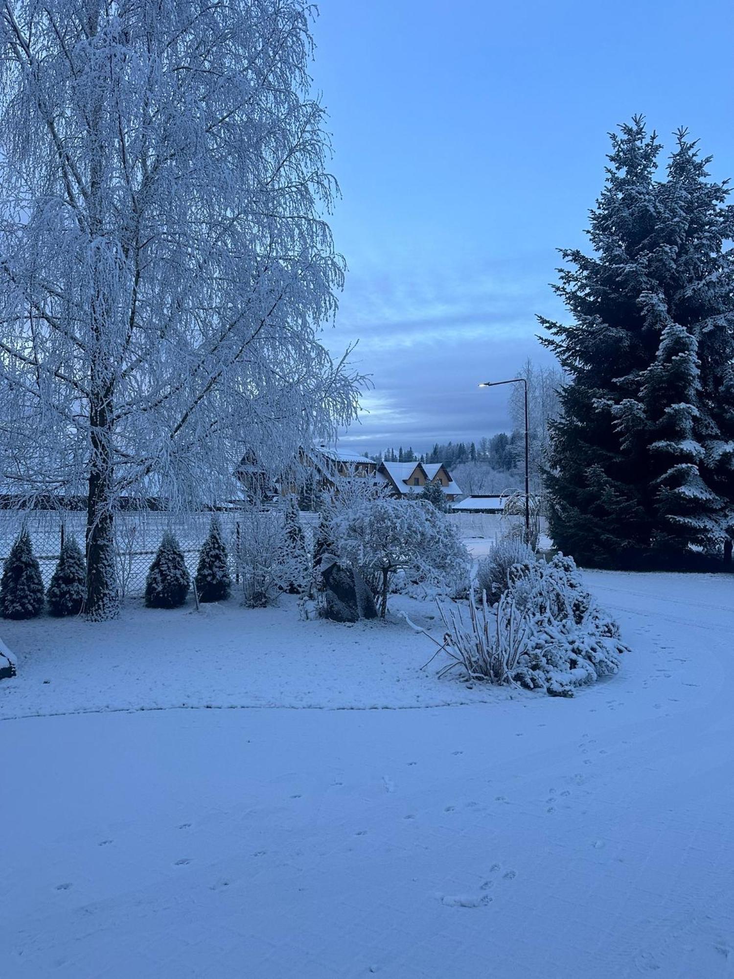 Czarna Jagoda Czarna Góra Exteriér fotografie
