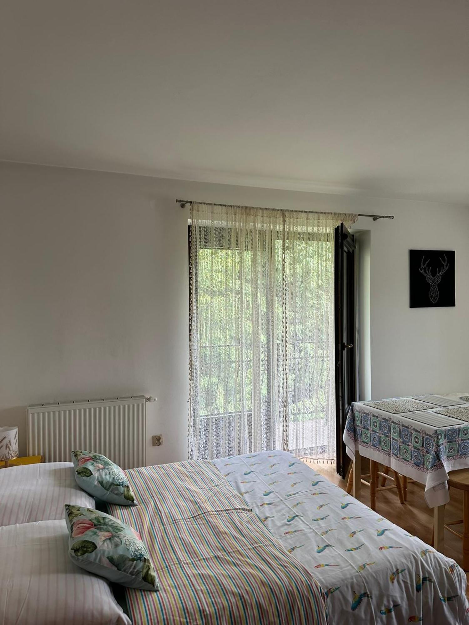 Czarna Jagoda Czarna Góra Exteriér fotografie