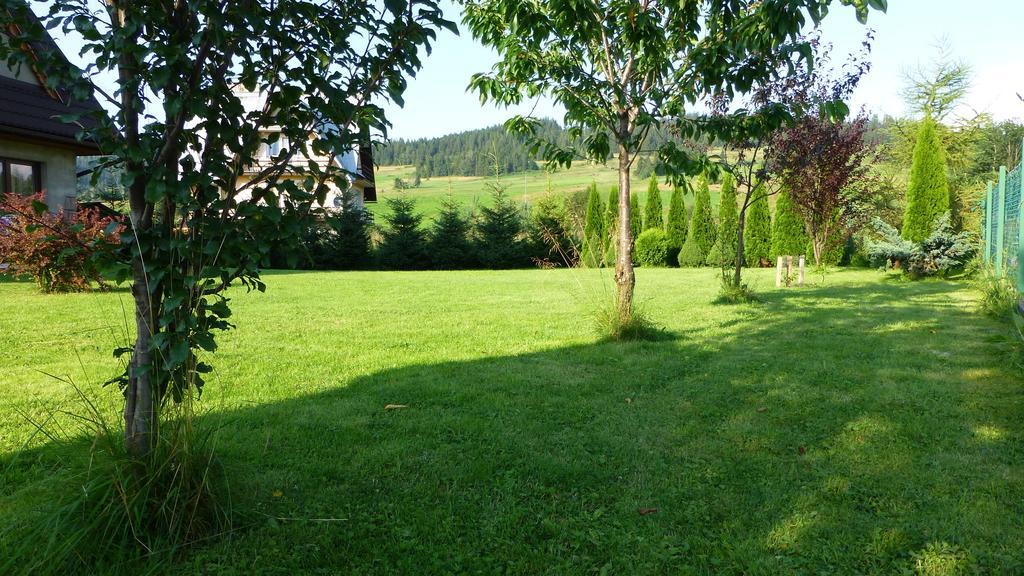 Czarna Jagoda Czarna Góra Exteriér fotografie