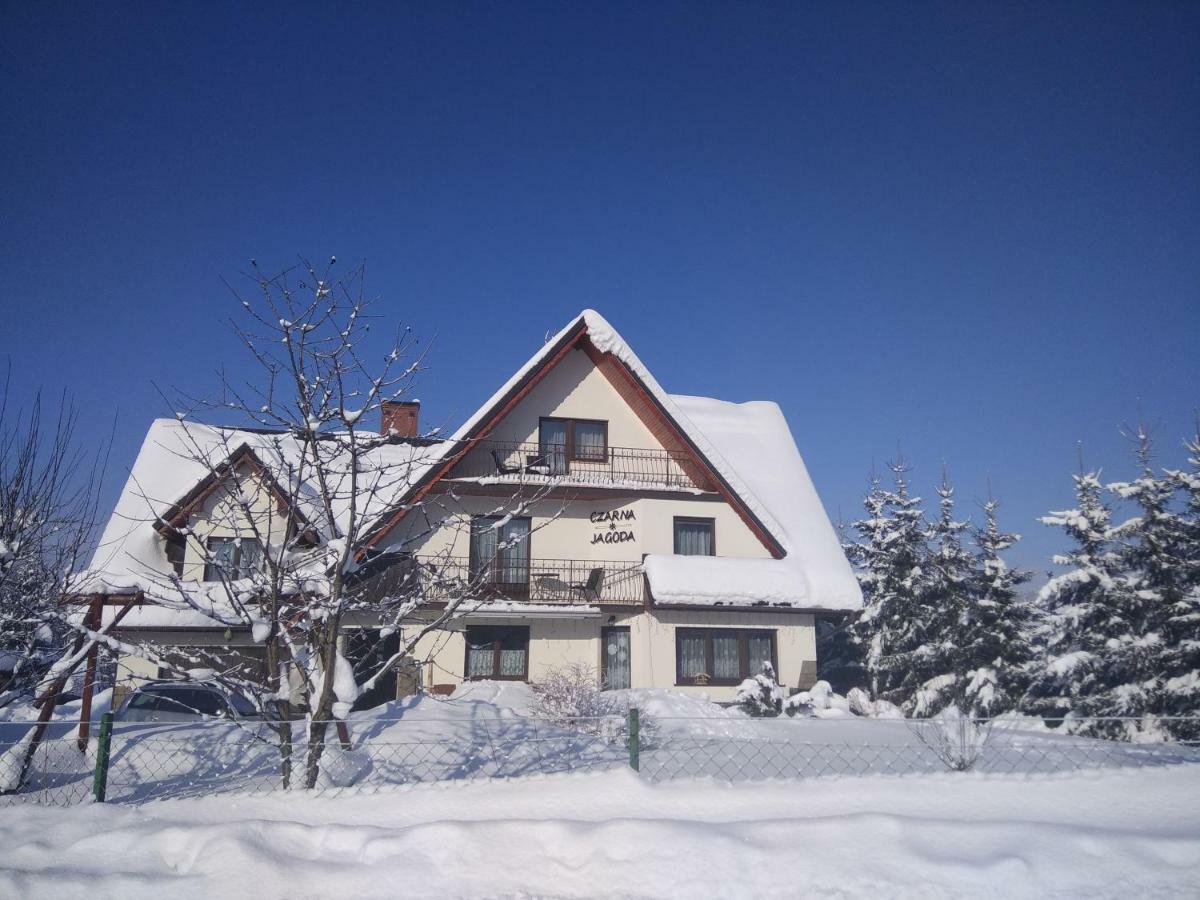 Czarna Jagoda Czarna Góra Exteriér fotografie